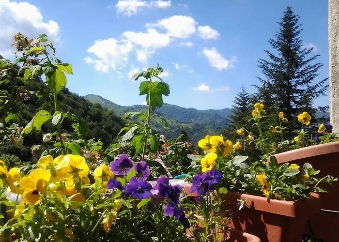 Villatiffany Torriglia照片