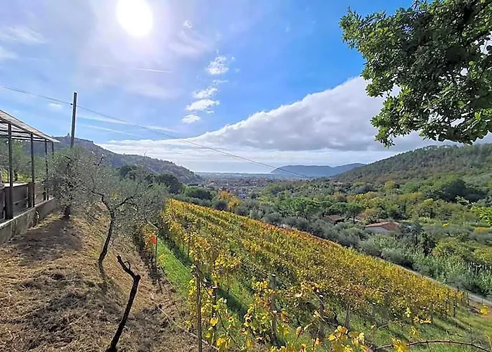 Agriturismo La Carreccia Ortonovo φωτογραφία